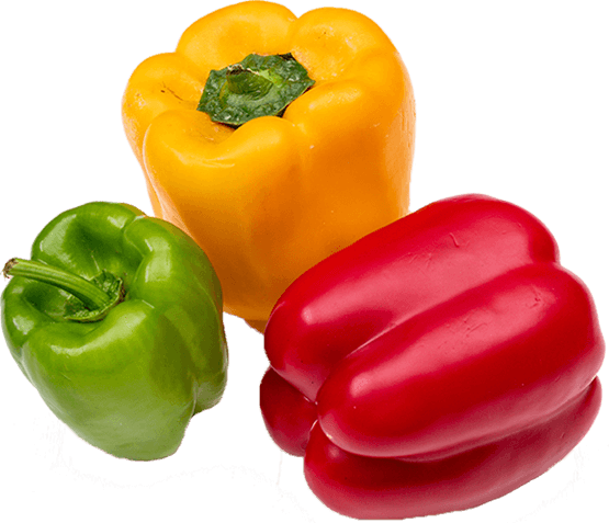 slider-two1.png