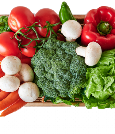 Image1.png
